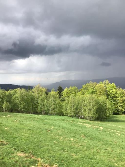 Domek Gorski Na Polanie Goryczkowej 700 M Npm - Szczyrk Dojazd Samochodem Terenowym, W Zimie Utrudniony - Wymagane Lancuchy Εξωτερικό φωτογραφία